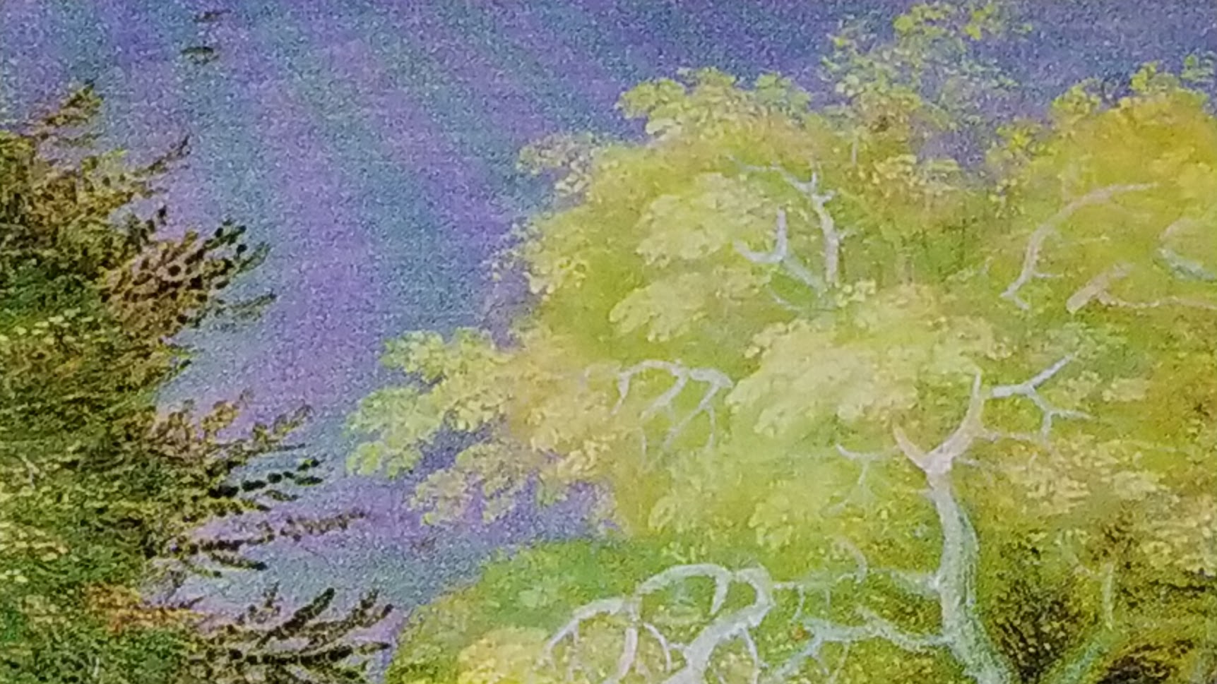 Arbre peinture